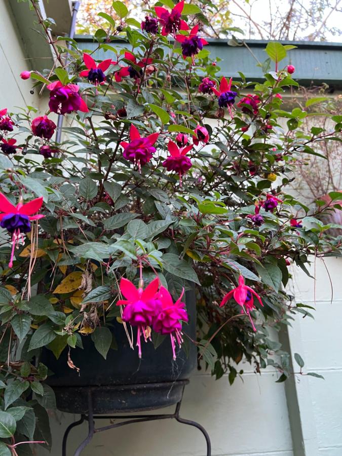  | Carmel Garden Inn