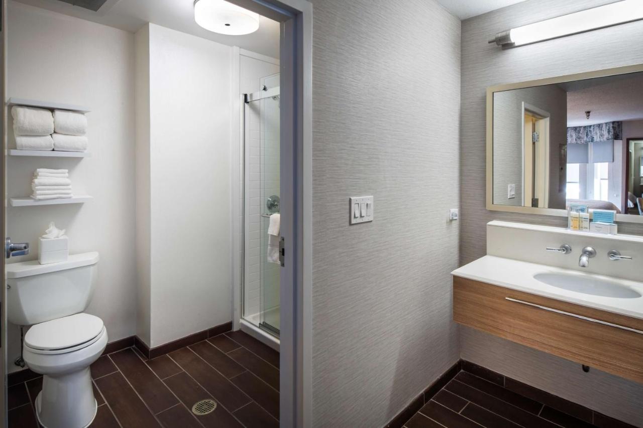 One-Bedroom King Suite with Fireplace at Hampton Inn & Suites Chicago/Lincolnshire