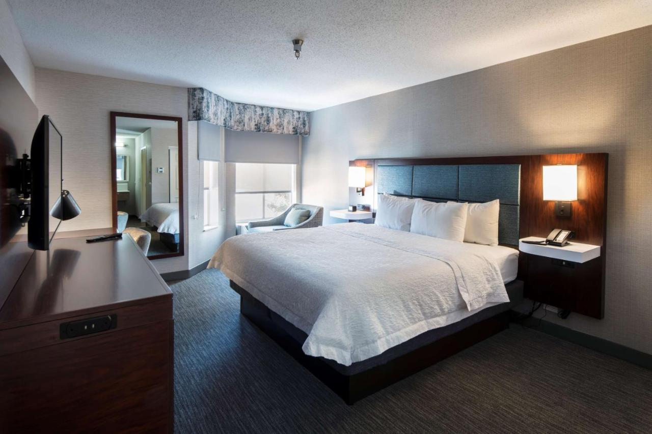 One-Bedroom King Suite with Fireplace at Hampton Inn & Suites Chicago/Lincolnshire