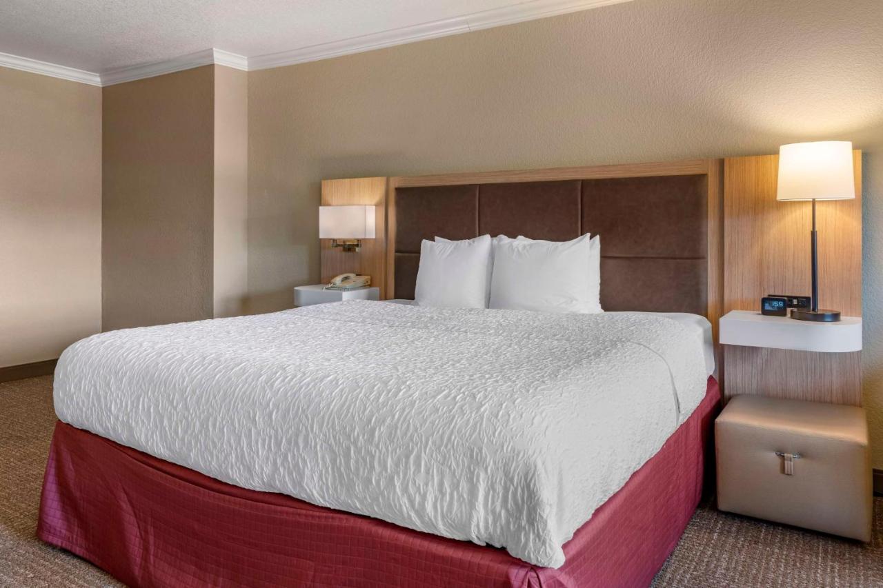 King Studio with Sofa Bed - Non-Smoking at Hampton Inn Ukiah CA