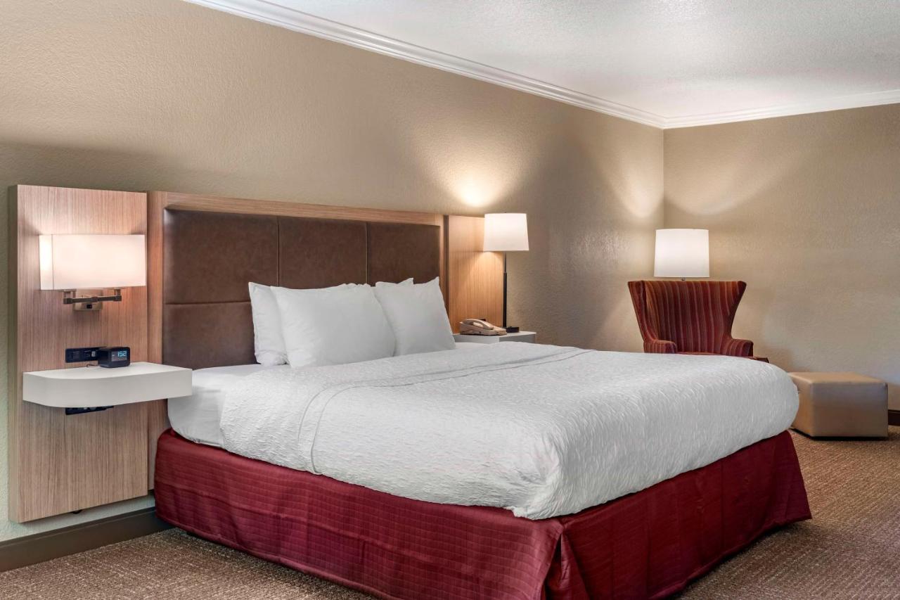 King Room with City View - Non-Smoking at Hampton Inn Ukiah CA