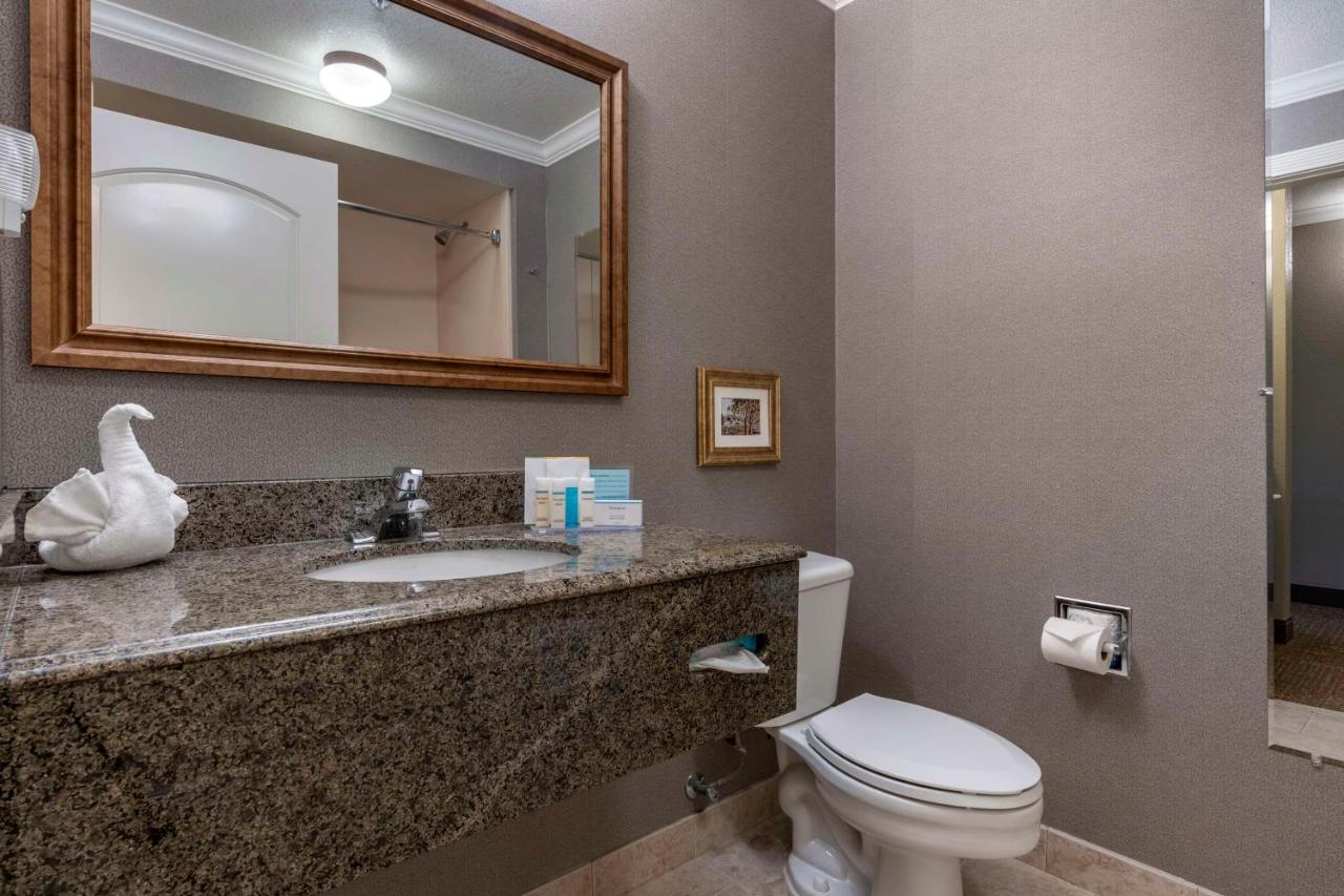 King Room with City View - Non-Smoking at Hampton Inn Ukiah CA