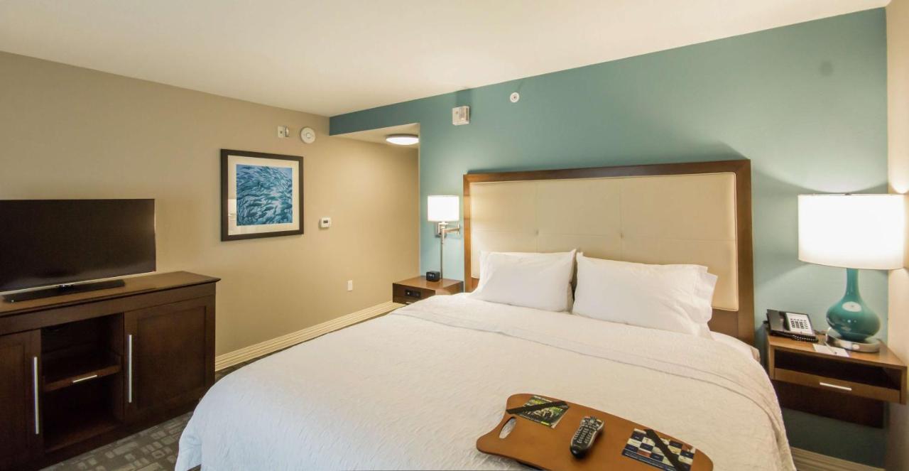King Room- Hearing Accessible at Hampton Inn & Suites Orlando At SeaWorld