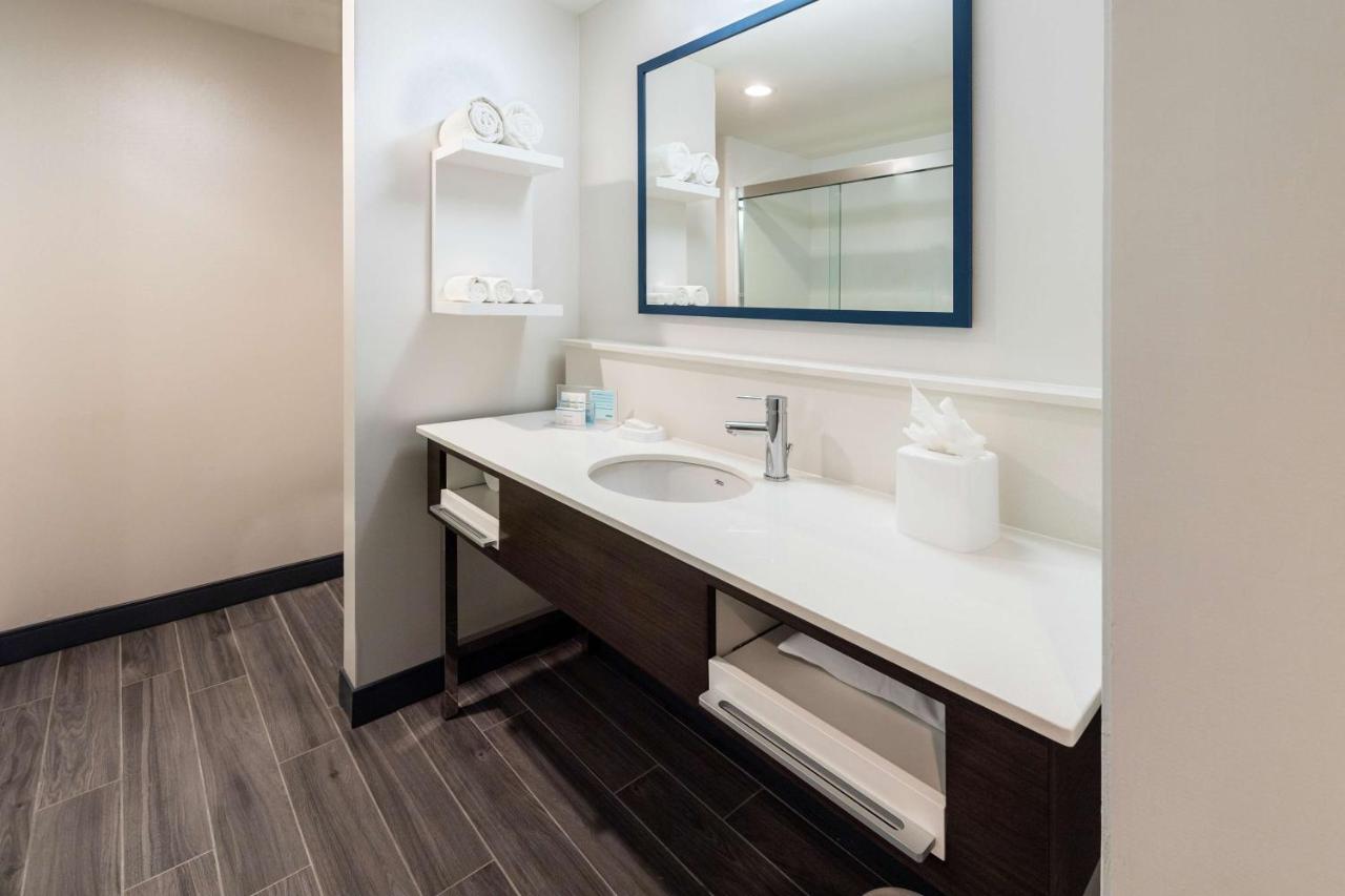 Executive King Suite - Non Smoking at Hampton Inn & Suites Snellville Atlanta NE