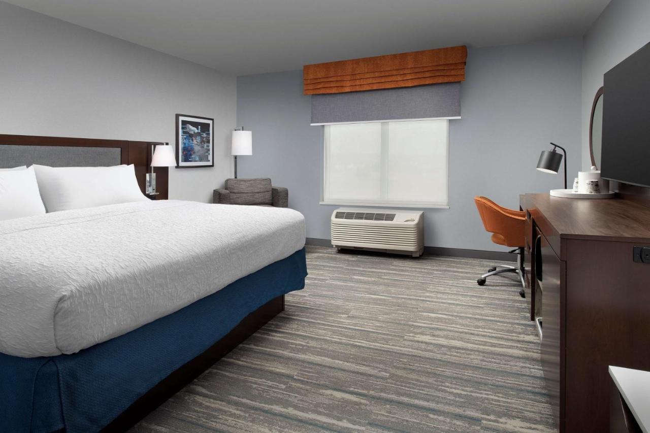 King Room - Non-Smoking at Hampton Inn & Suites Rapid City Rushmore