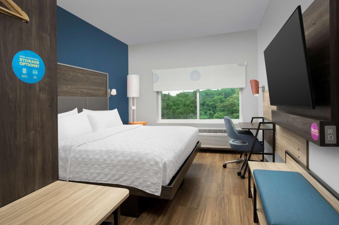 King Room at Tru by Hilton Charlotte Airport Lake Pointe
