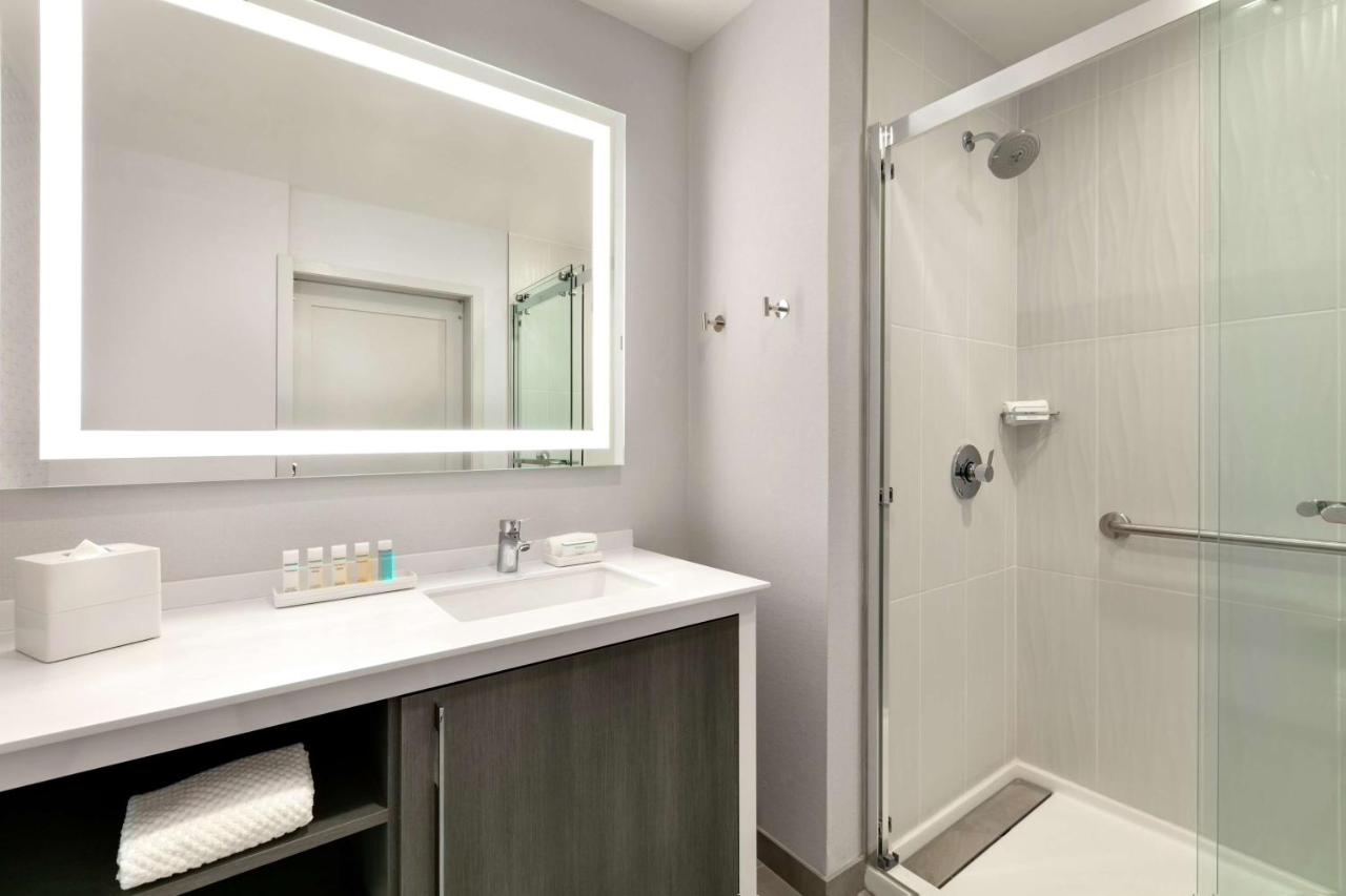 King Suite - Non-Smoking at Embassy Suites by Hilton Atlanta Midtown