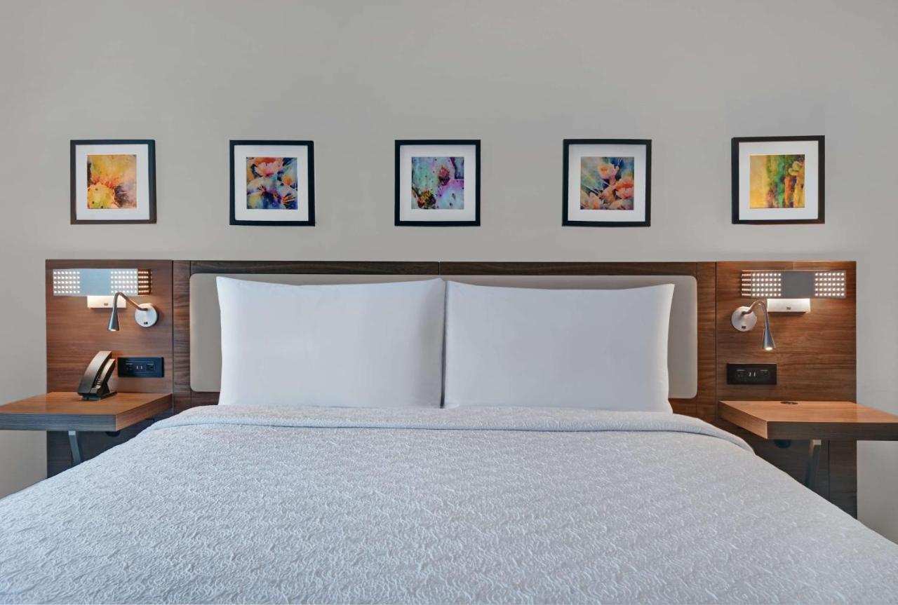 King Room at Hilton Garden Inn Houston Medical Center, TX