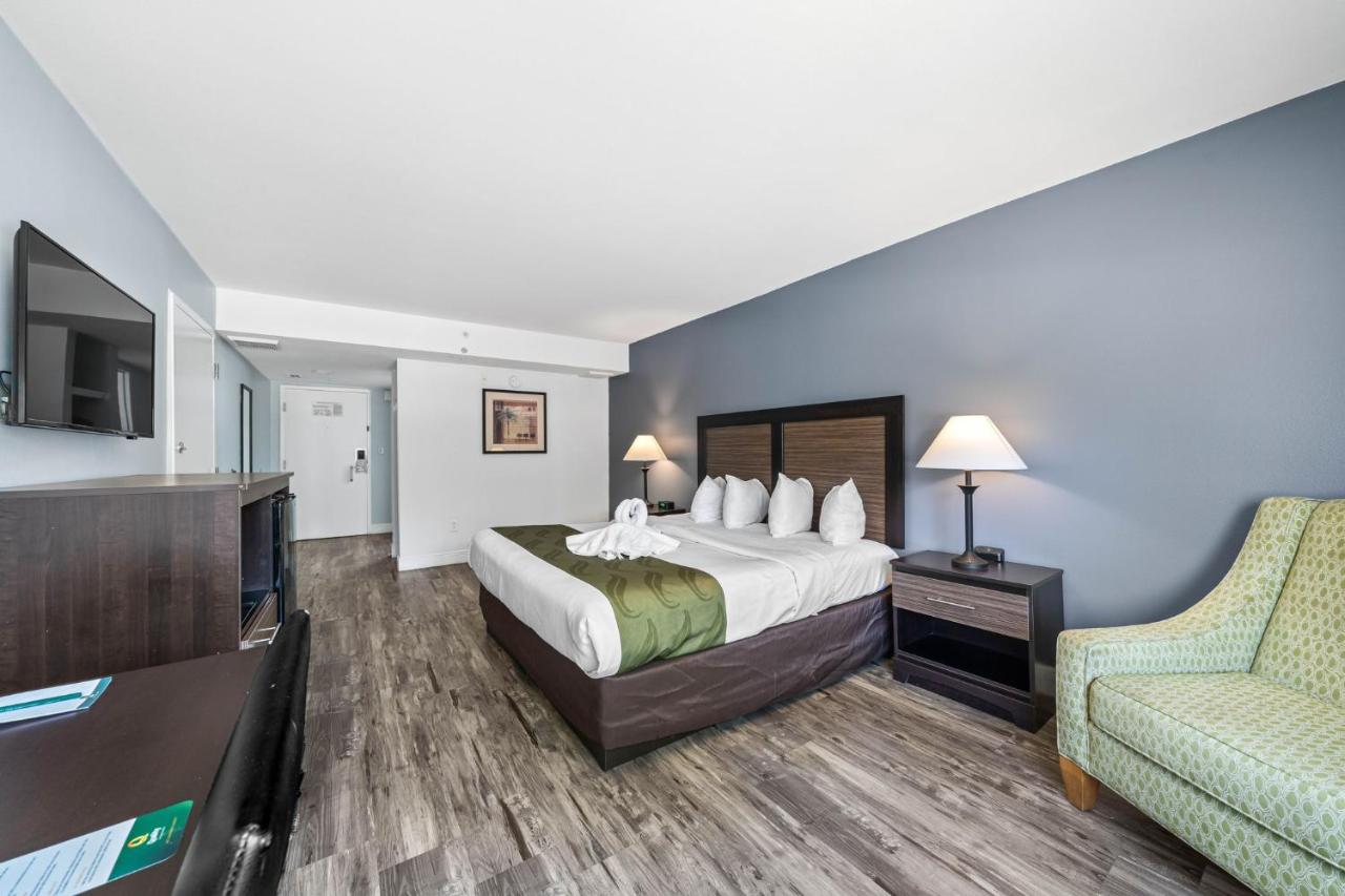 King Room - Non-Smoking at Quality Inn & Suites Tampa near Fairgrounds and Casino