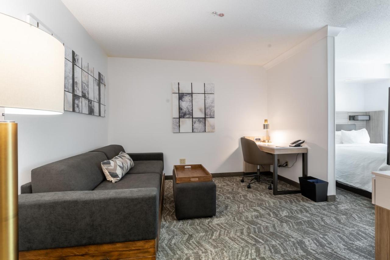 King Suite with Sofa Bed at SpringHill Suites by Marriott Gainesville