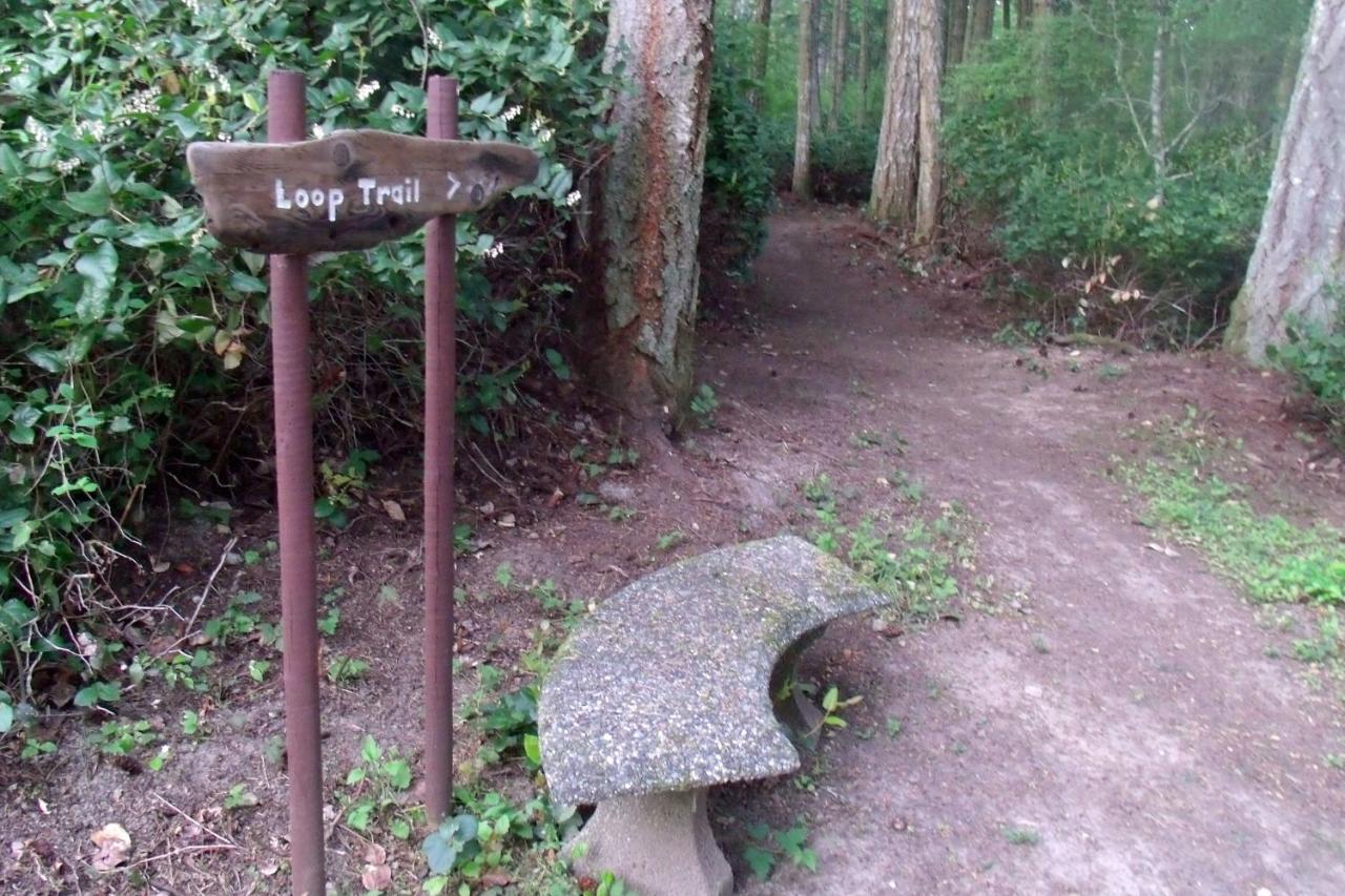 | Inn to the Woods