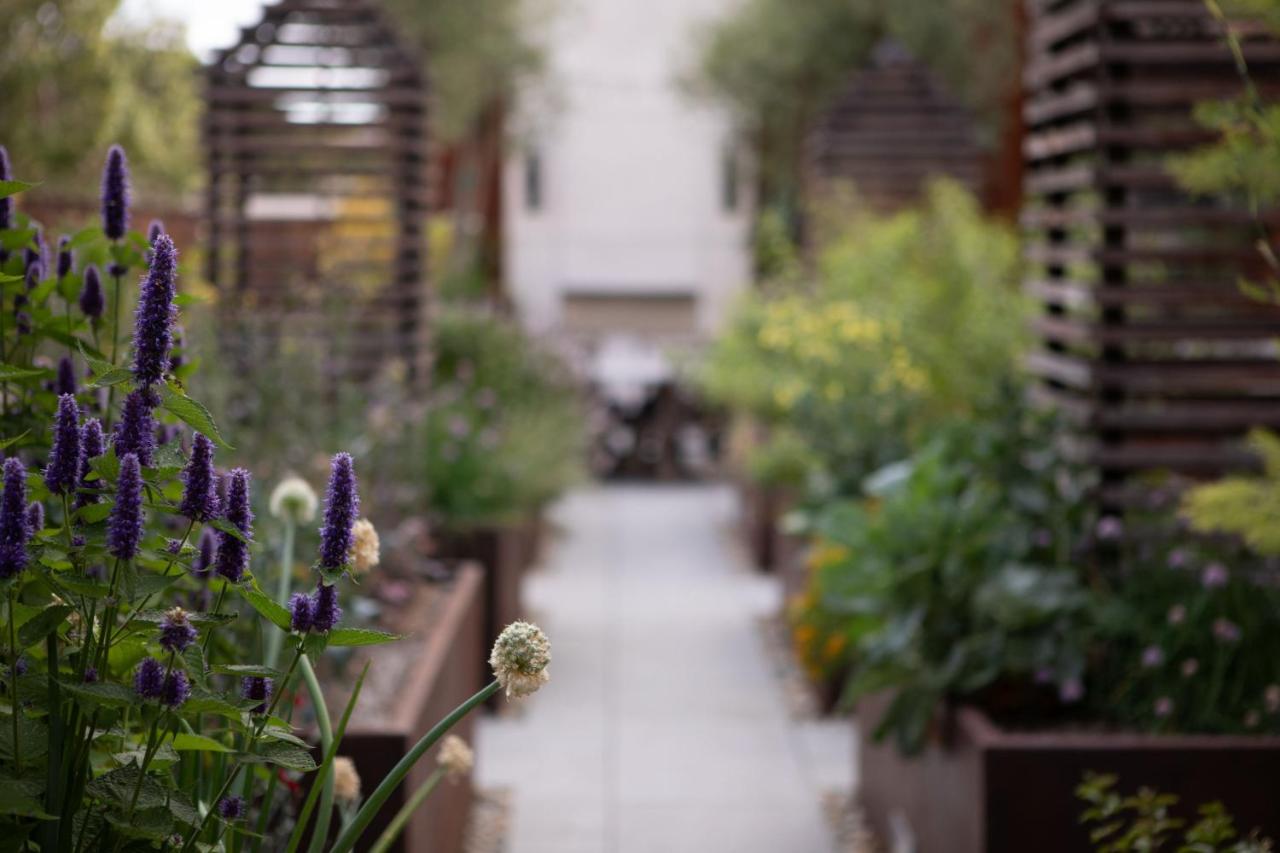  | Hotel Cerro