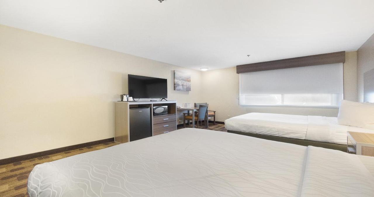 Queen Room with Two Queen Beds at Best Western Amador Inn