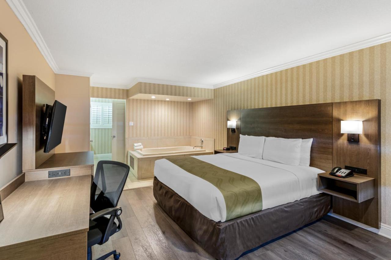 Deluxe Room, 1 King Bed, In-Room Hot Tub, Non Smoking at Quality Inn & Suites Anaheim Maingate