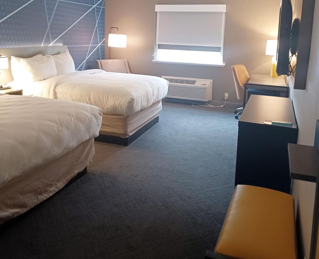 Queen Room with Two Queen Beds - Non-Smoking at Comfort Inn Edinburgh - Columbus