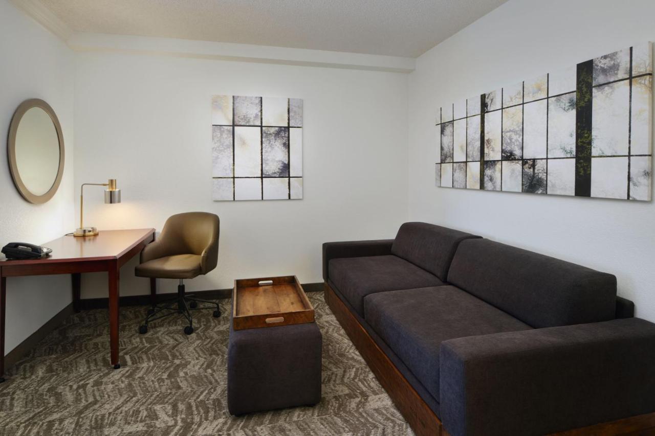 Double Studio with Sofa Bed at Springhill Suites by Marriott Boulder Longmont