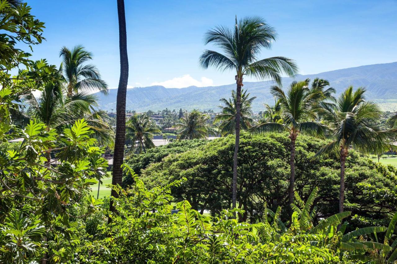 Double Room with Resort View at Sheraton Maui Resort & Spa