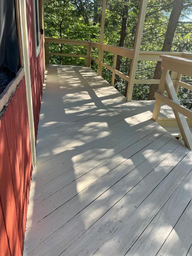 | Saw Creek Cabin - Regent Hilltop