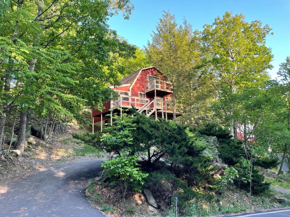 | Saw Creek Cabin - Regent Hilltop