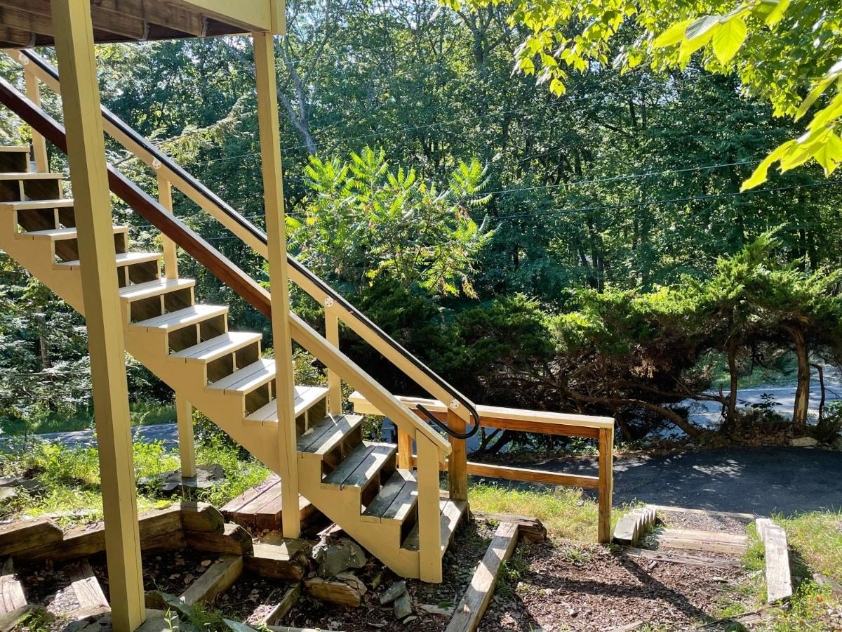 | Saw Creek Cabin - Regent Hilltop