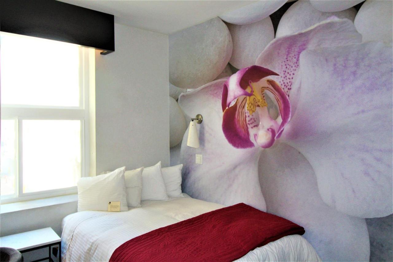 | O Hotel