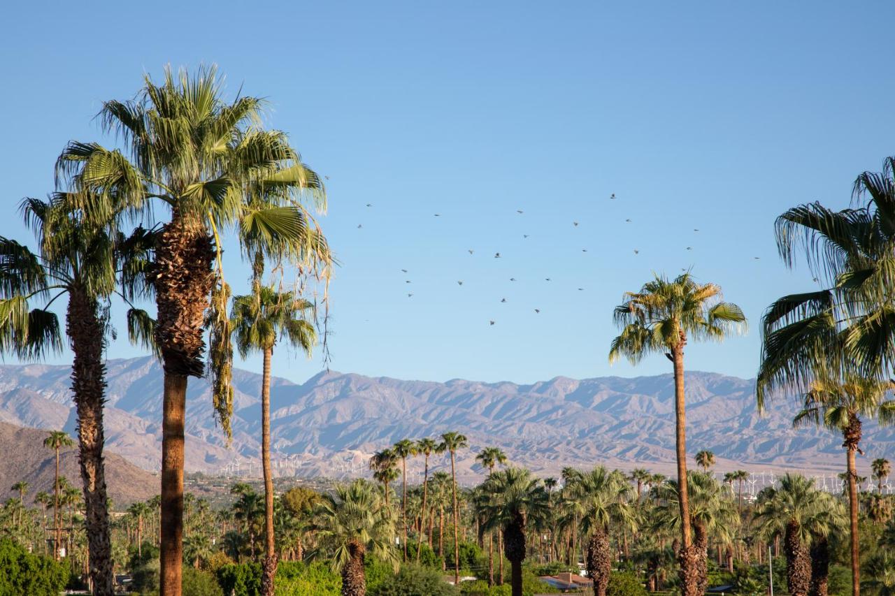 King Room with City View at The Saguaro Palm Springs