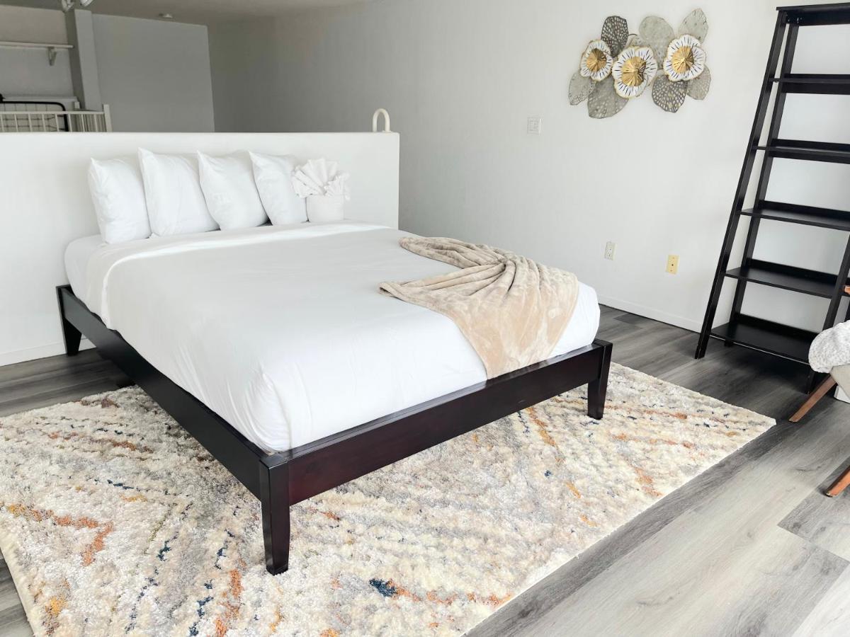 | Little Italy Modern Lofts