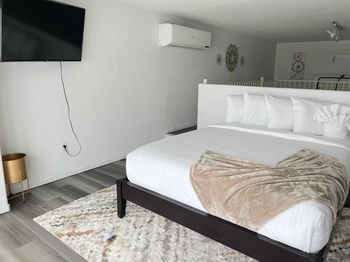 | Little Italy Modern Lofts