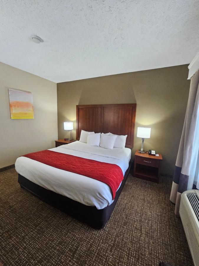 King Room - Accessible/Non-Smoking at Comfort Inn Jackson I-40
