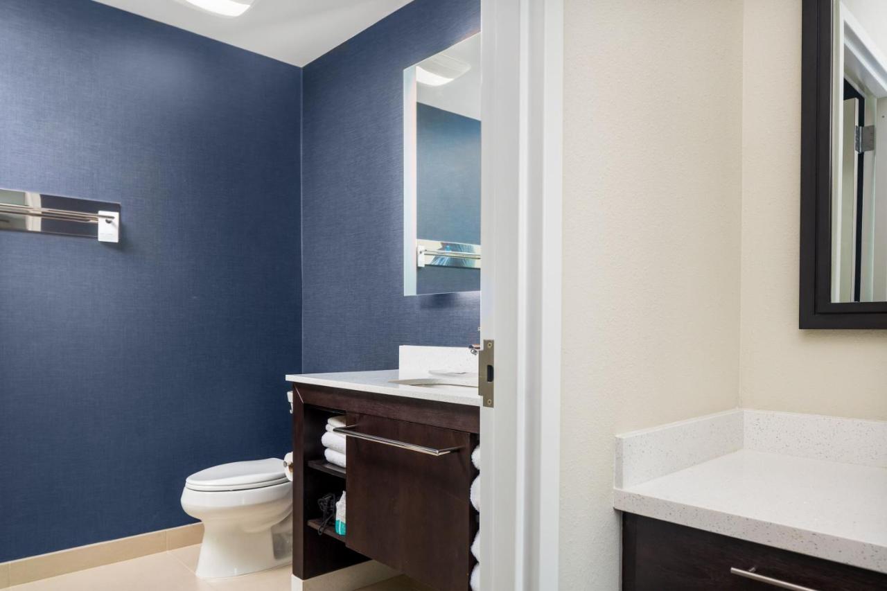 One-Bedroom King Suite with Sofa Bed - Hearing Accessible at Residence Inn by Marriott Decatur Emory Area