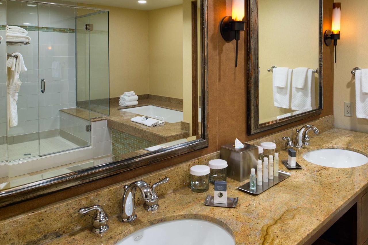 King Suite with Mountain View at DoubleTree by Hilton Seattle Airport
