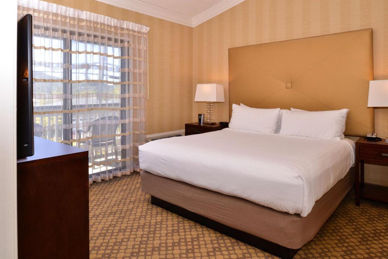 One-Bedroom King Suite at Best Western Corte Madera Inn
