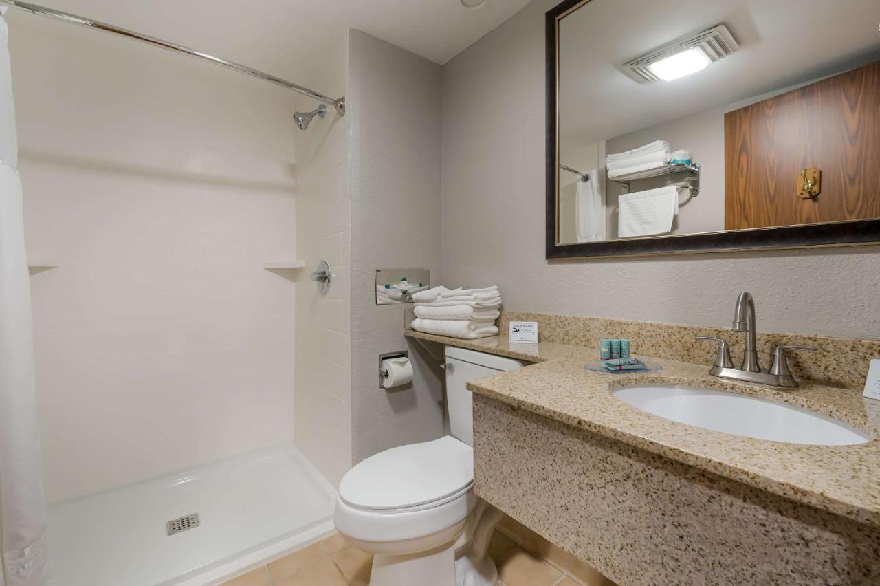 King Suite with Kitchenette - First Floor at Best Western Detroit Livonia