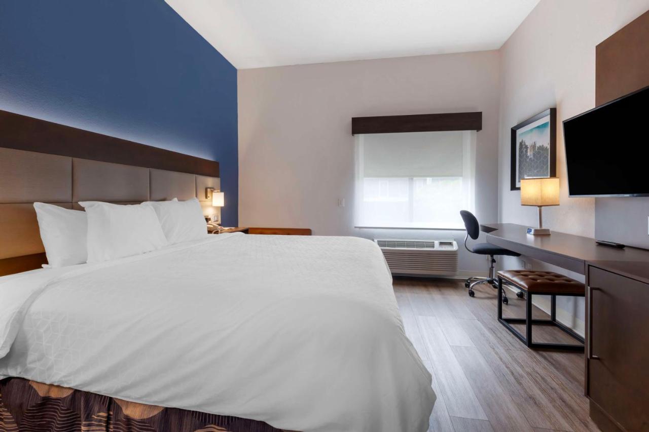 King Room with Mobility Accessible Roll-In Shower at Best Western Sycamore Inn