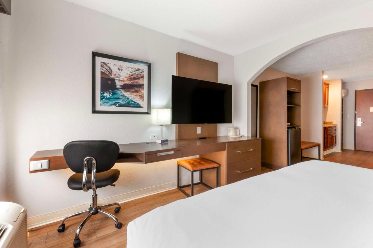 King Room with Sofabed at Best Western Sycamore Inn