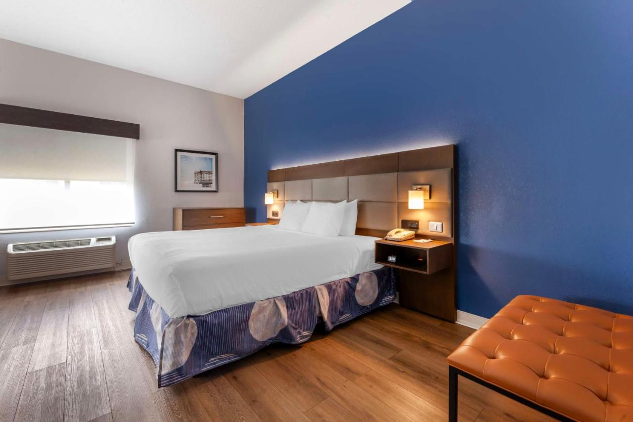 Large King Room with Sofa Bed at Best Western Sycamore Inn