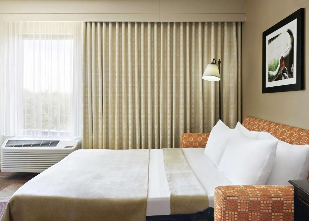 Premium King Room with Sofa Bed - Non-Smoking at Hampton Inn Dallas-Irving-Las Colinas