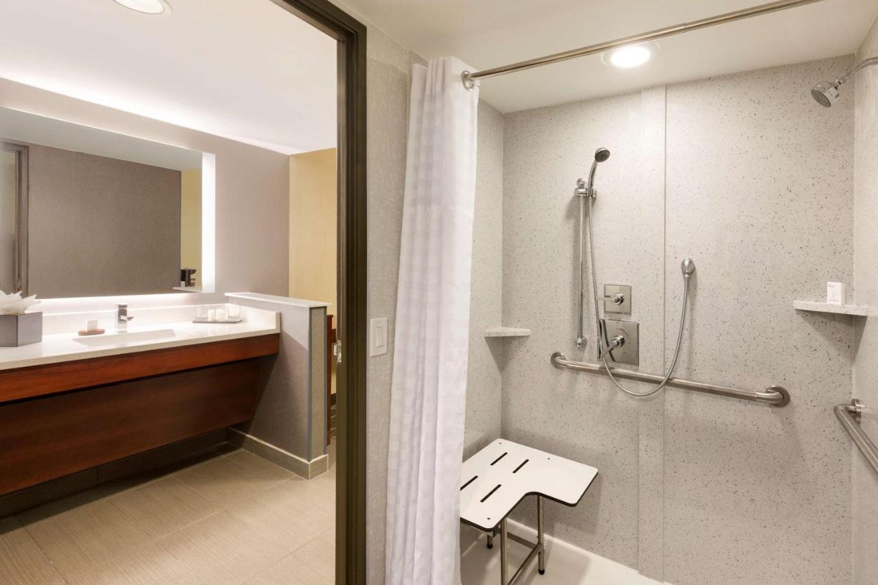 King Suite - Mobility/Hearing Accessible with Shower at Embassy Suites by Hilton Atlanta Airport