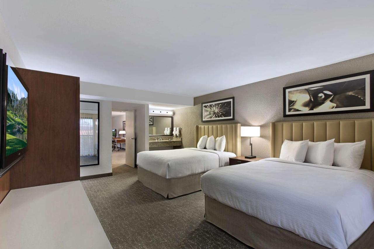 Executive Suite with two Queen Beds - Non-Smoking at Embassy Suites by Hilton Palm Desert