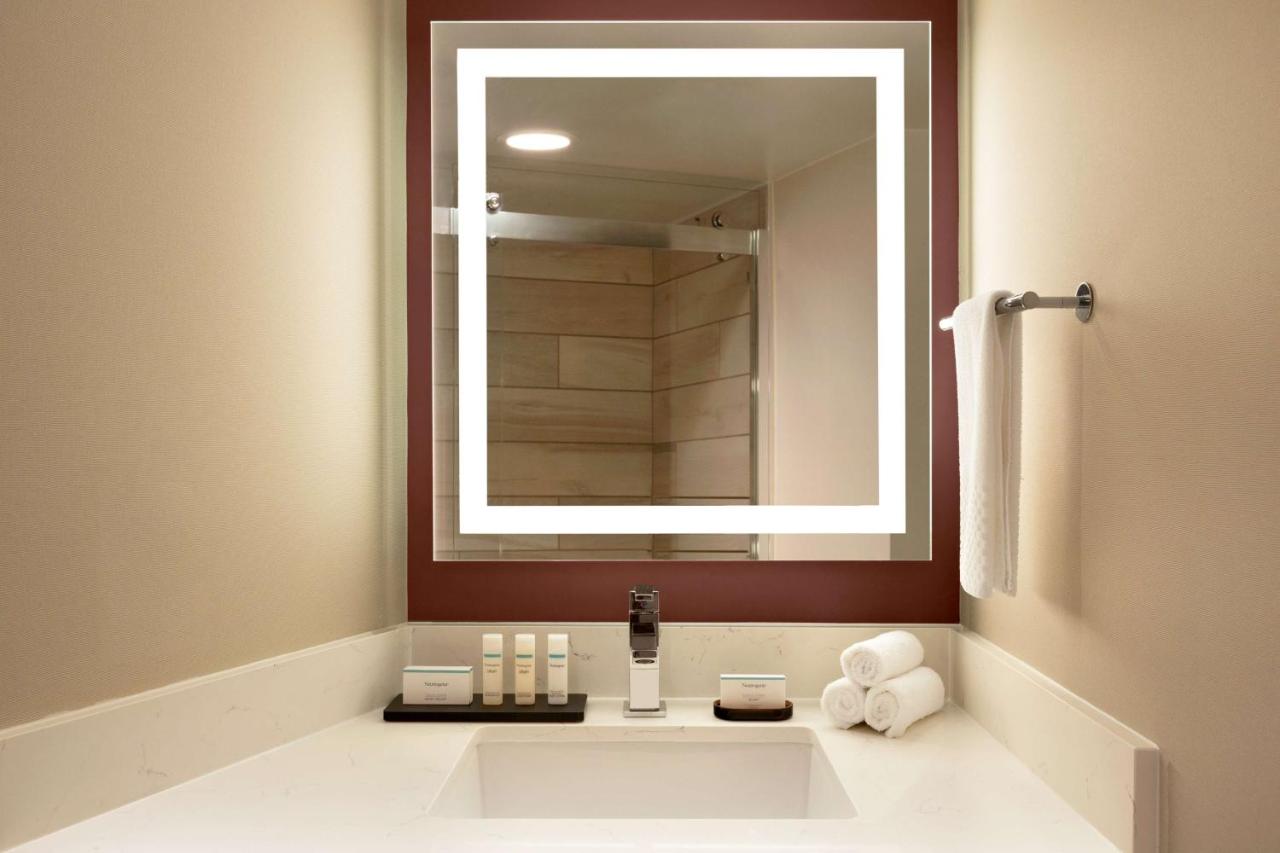 1 King Bed 1 Room Studio Suite at Embassy Suites by Hilton Phoenix Downtown North