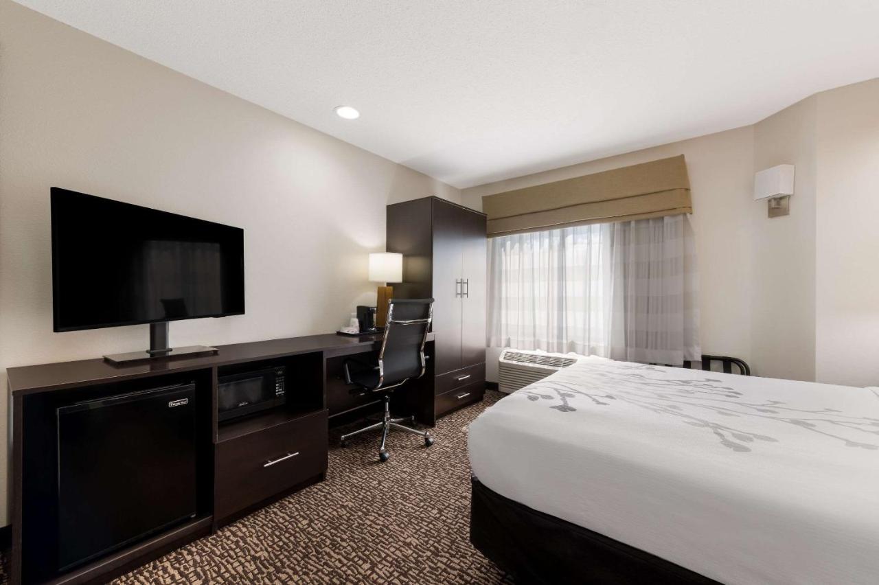 Queen Room - Non-Smoking at Sleep Inn Kernersville I-40