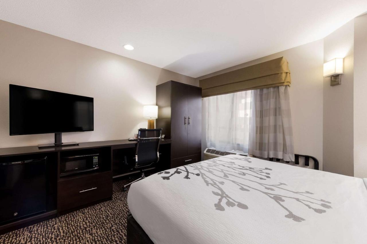 Queen Room - Disability Access/Non-Smoking at Sleep Inn Kernersville I-40