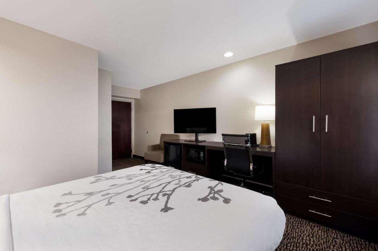 Queen Room - Disability Access/Non-Smoking at Sleep Inn Kernersville I-40