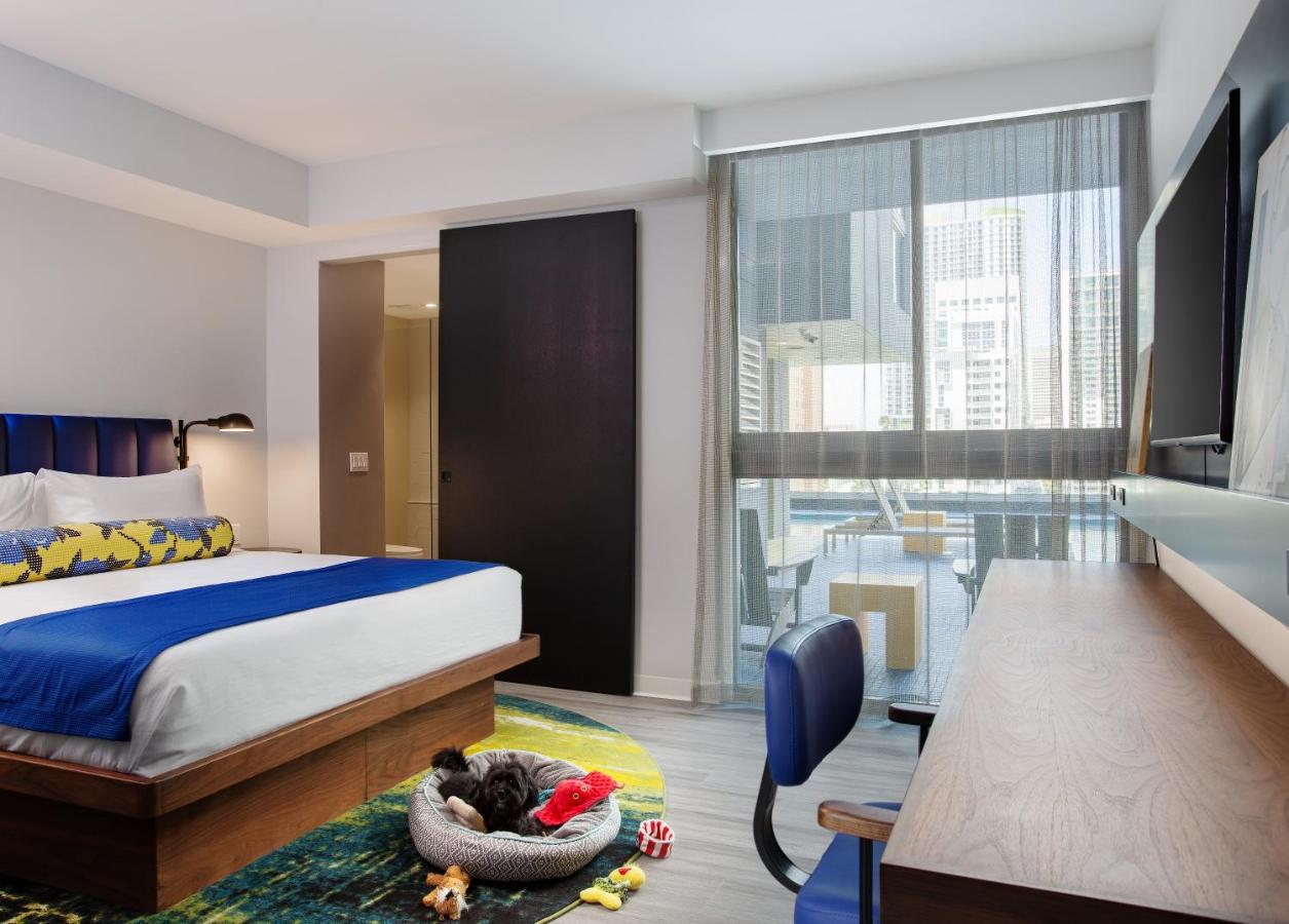 Standard Room at Hotel Indigo Miami Brickell by IHG