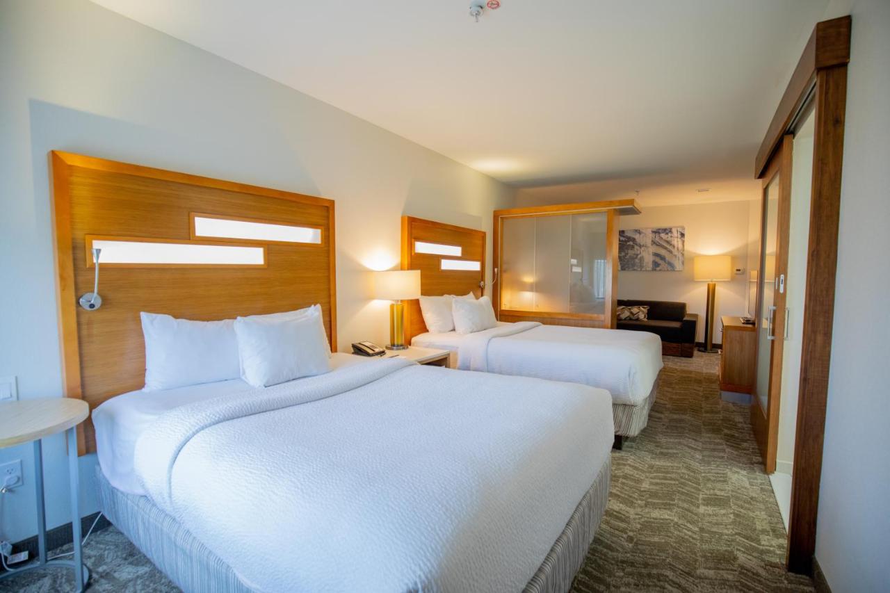Queen Studio at SpringHill Suites by Marriott Baton Rouge Gonzales