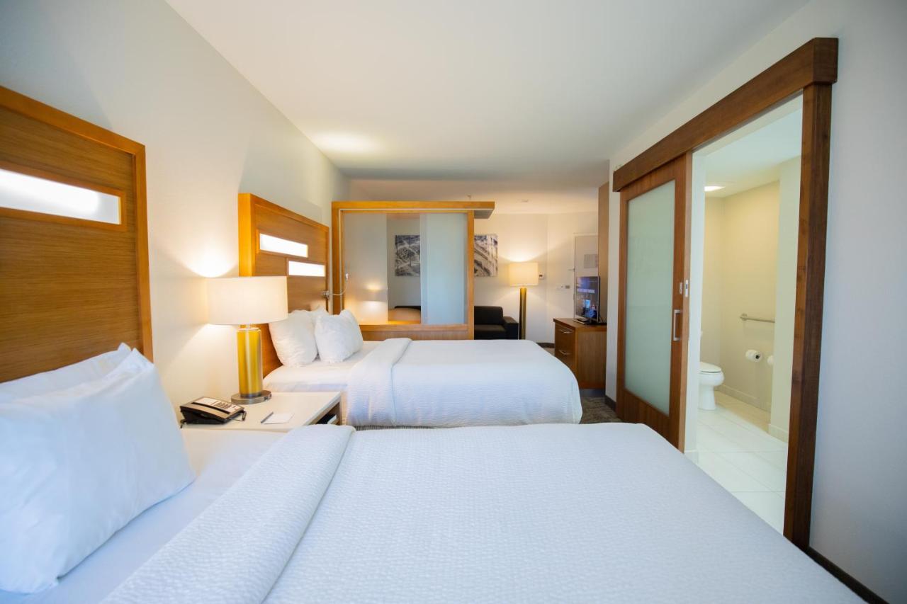 Queen Studio at SpringHill Suites by Marriott Baton Rouge Gonzales