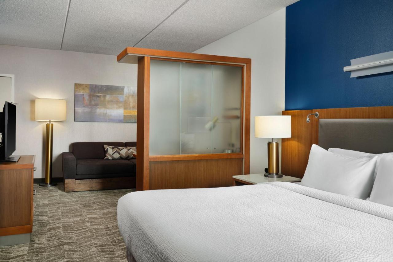 King Studio at Springhill Suites by Marriott Pittsburgh Mt. Lebanon