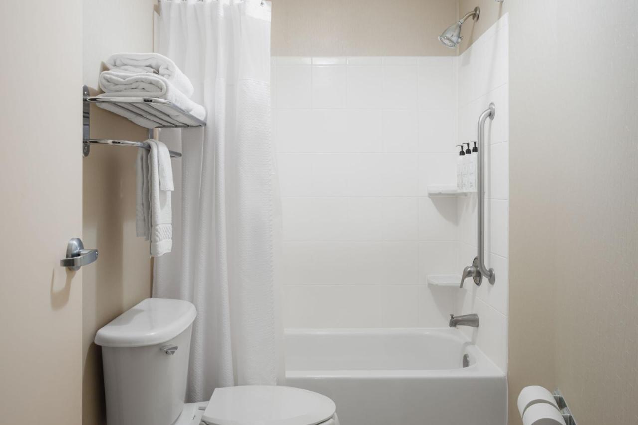 Two Double Bed Suite with Sofa Bed at SpringHill Suites by Marriott Knoxville at Turkey Creek