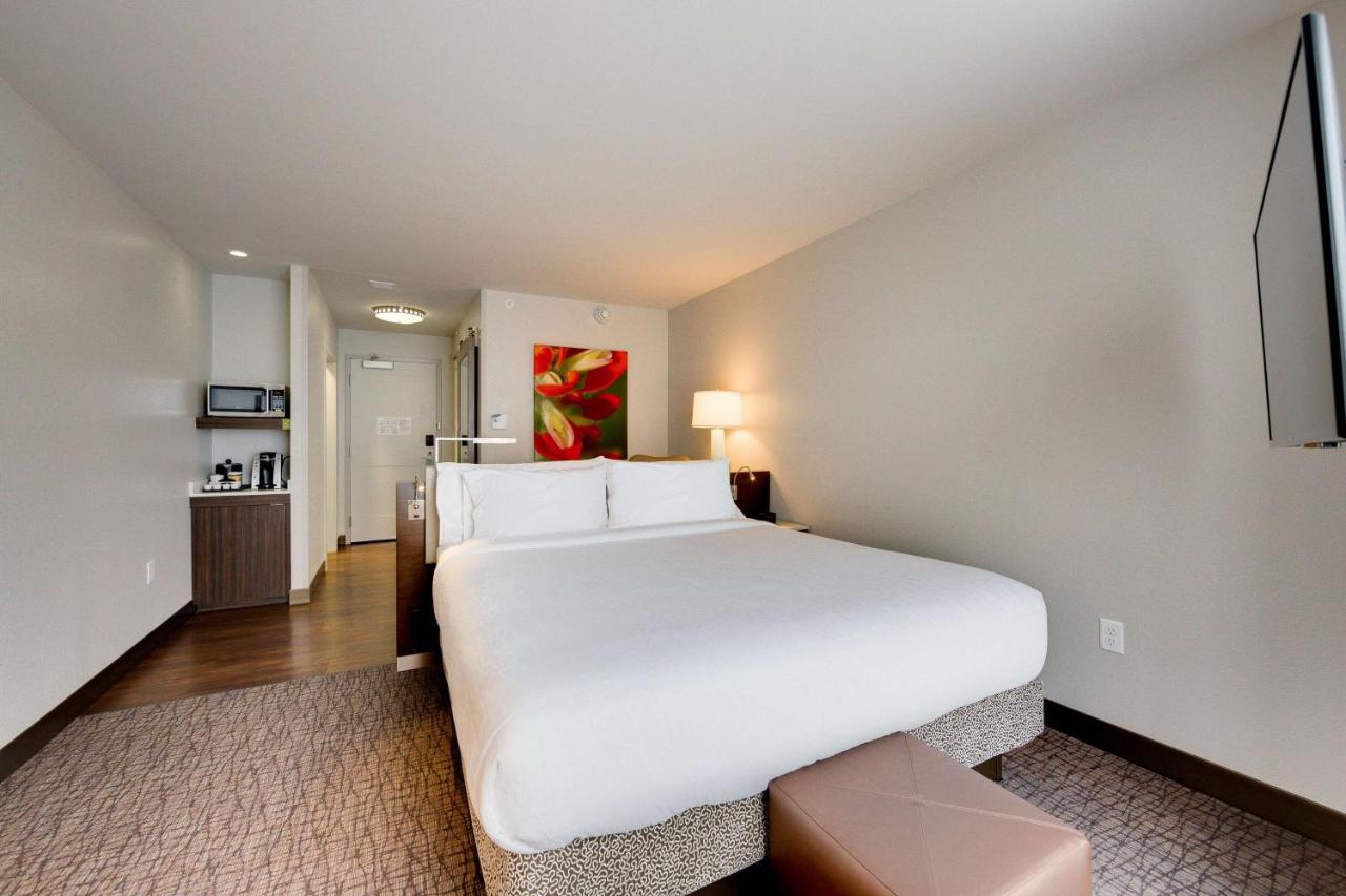 Premium King Room at Hilton Garden Inn North Houston Spring