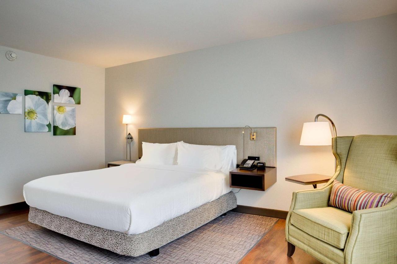 King Room at Hilton Garden Inn North Houston Spring